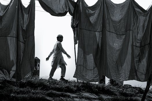 Senát Navrhl Kandidáty na Dětského Ombudsmana: Beneše a Petrovou