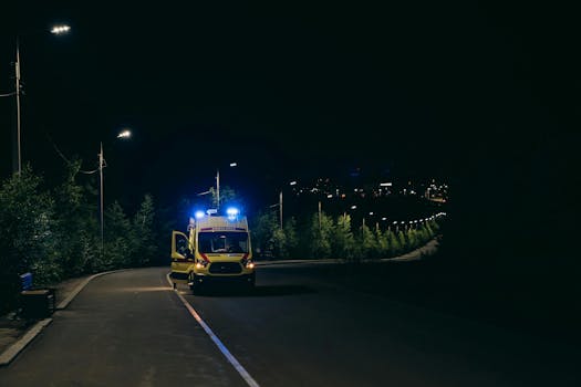 Záchrana žiraf v Keni: Stěhování do bezpečnějších oblastí