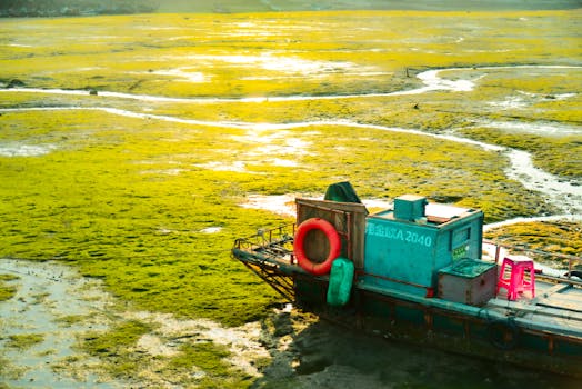 Ukrajina znovu získává území: Význam pro budoucnost a region