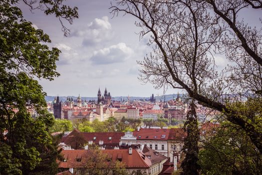 Lídři a stromy: Proč ANO v Praze nezakládá kořeny?